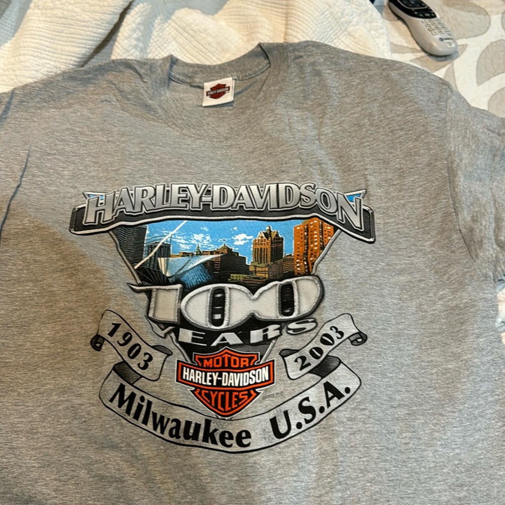 Harley Davidson gray and black tee